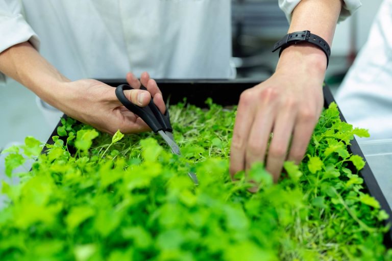 horticulture farm header background
