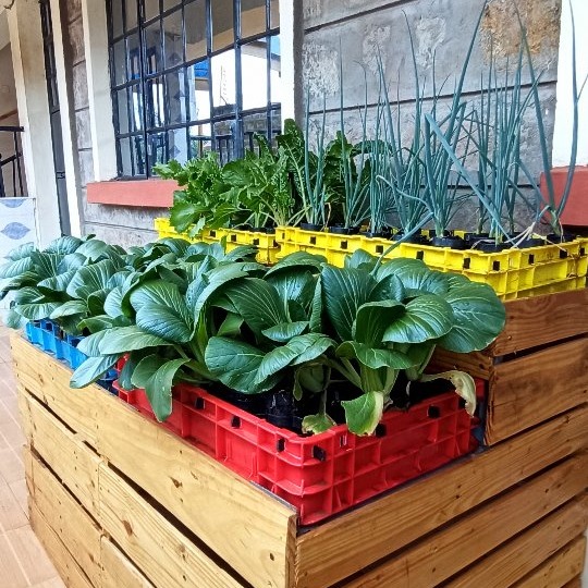 balcony unit from agrivolve